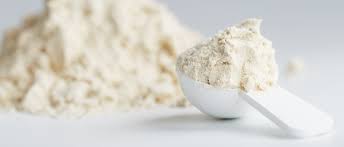 Deproteinized Whey Powder